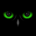 Night Eyes