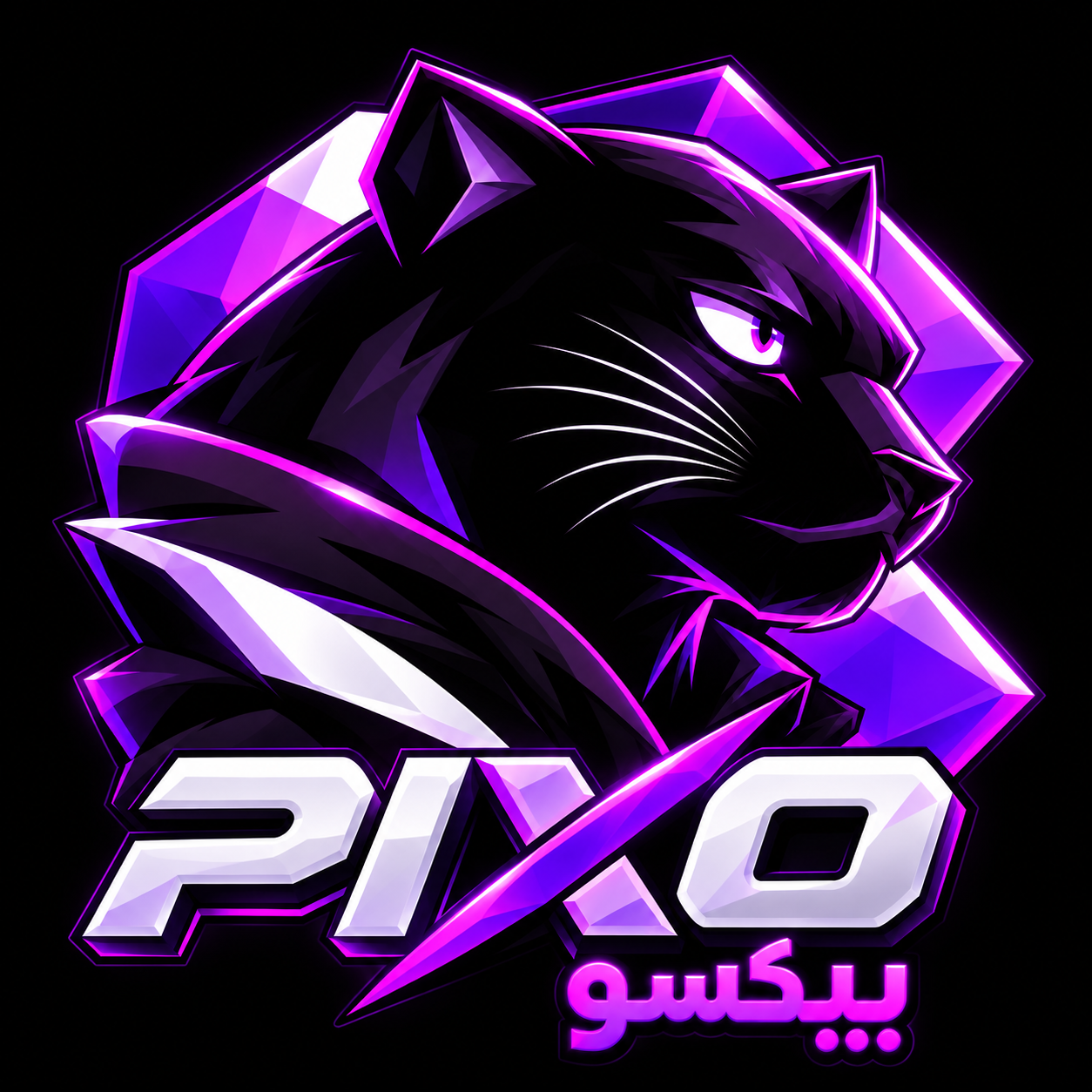 PIXO PLUS